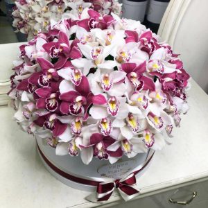 Бело-розовый микс из 101 орхидеи в коробке — Букеты цветов