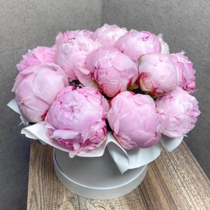 Букет из 15 розовых пионов в коробке — Пионы
