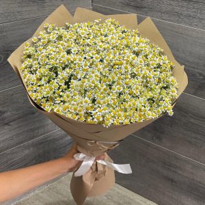 55 кустовых ромашек в крафте — Букеты цветов