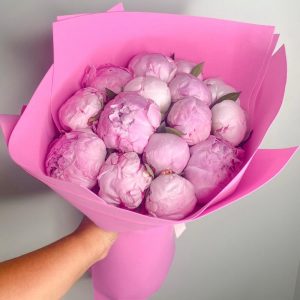 Букет из 15 розовых пионов Сара в упаковке — Пионы