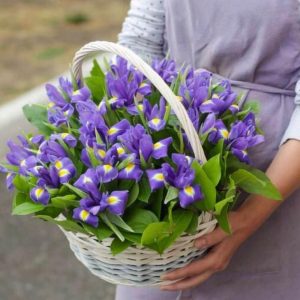 Букет из 35 ирисов в корзине — Букеты цветов