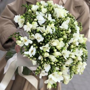Букет из 101 белой фрезии — Букеты цветов