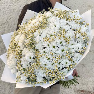 Большой букет и хризантемой и ромашками — Букеты цветов