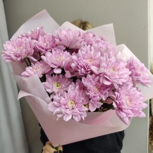 Букет из 7 розовых хризантем — Букеты цветов