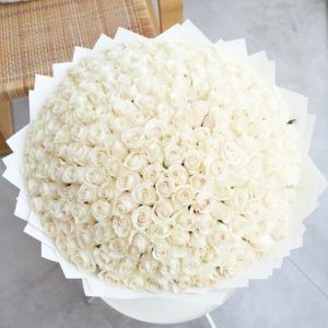 201 белая роза Премиум — 205 роз