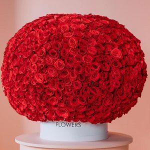 1001 красная роза в коробке — 1000 роз