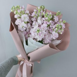 Букет из 9 розовых маттиол — Букеты цветов