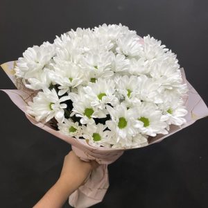 5 белых кустовых хризантем — Букеты цветов