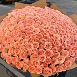 Букет из 201 персиковой розы в упаковке — 205 роз