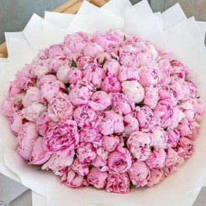 Букет из 151 розового пиона — Пионы