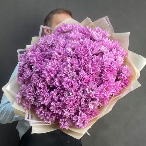 Букет из 19 розовых хризантем —