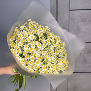 Букет из 25 ромашек — Букеты цветов