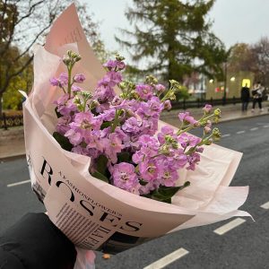 Букет из 7 розовых маттиол — Букеты цветов