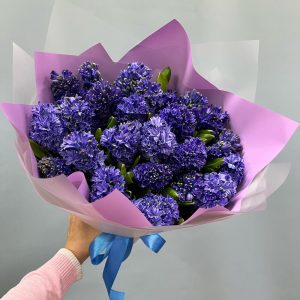 Букет из 25 синих гиацинтов — Букеты цветов