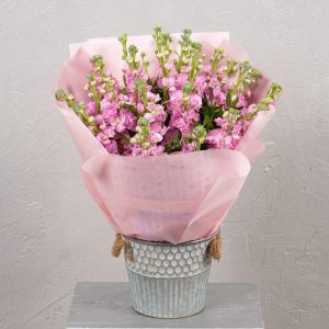 Букет из 25 розовых маттиол — Букеты цветов