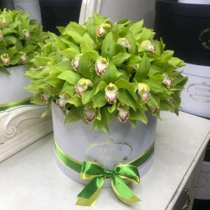 Букет из 51 зеленой орхидеи —