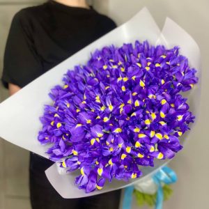 Букет из 101 ириса в упаковке — Букеты цветов
