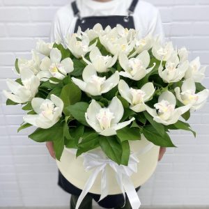 25 белых орхидей в коробке — Букеты цветов