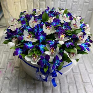 Белые и синие орхидеи в большой коробке — Букеты цветов