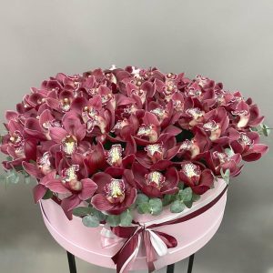Огромная коробка с королевскими орхидеями — Букеты цветов