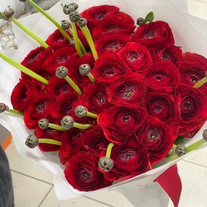 Букет из 25 красных ранункулюсов — Букеты цветов