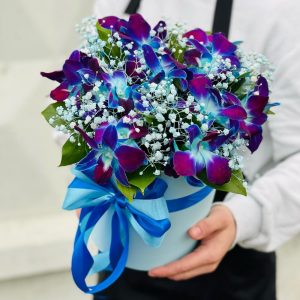 23 синие орхидеи в коробке — Букет орхидей недорого