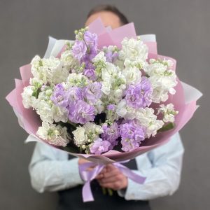 Букет из 9 маттиол Микс — Букеты цветов