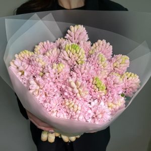 Букет из 25 розовых гиацинт — Букеты цветов