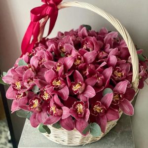 Букет из 55 фиолетовых орхидей в корзине —