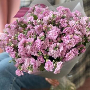 Букет из 19 нежных маттиол — Букеты цветов