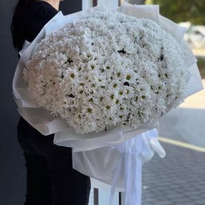 49 белых кустовых хризантем в букете — Букеты цветов