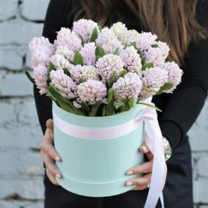 Букет из 25 розовых гиацинтов в коробке — Букеты цветов