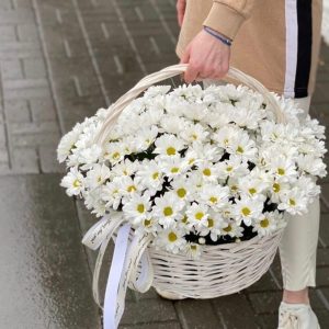 35 белых кустовых хризантем в корзине