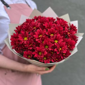 Букет из 7 красных хризантем —