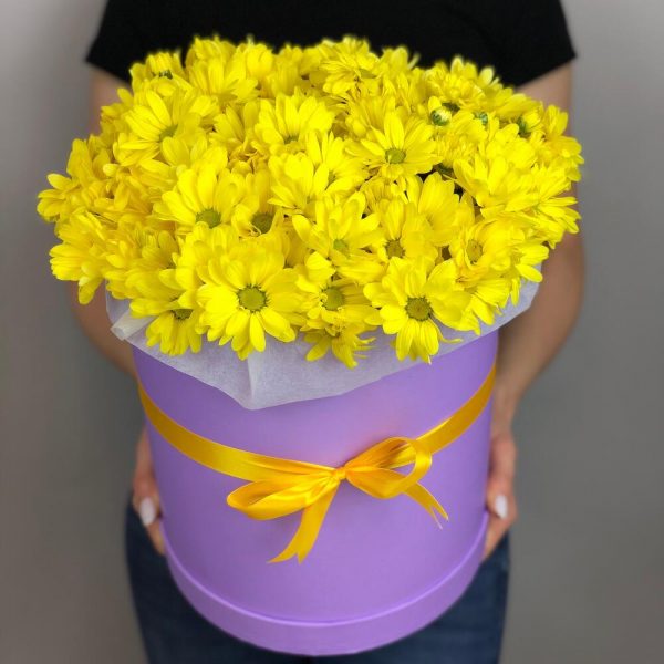 11 желтых кустовых хризантем в коробке