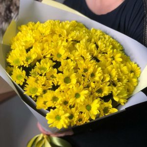 Букет из 15 желтых хризантем —