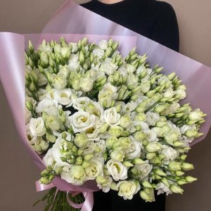 Букет из 35 белых эустом — Букеты цветов