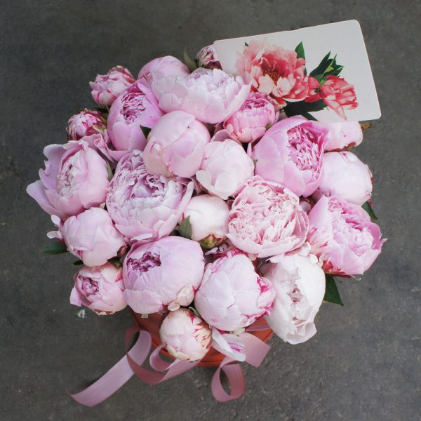 25 розовых пионов в белой коробке