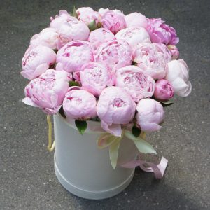 25 розовых пионов в белой коробке