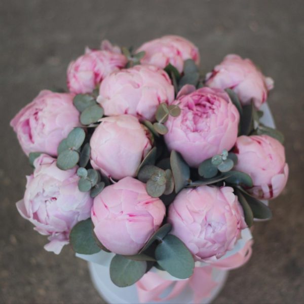 11 розовых пионов в коробке с эвкалиптом