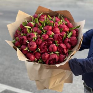 Букет цветов красные пионы 51 шт — Пионы