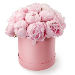 Роскошный букет с 15 розовыми пионами в коробке — Доставка пионов
