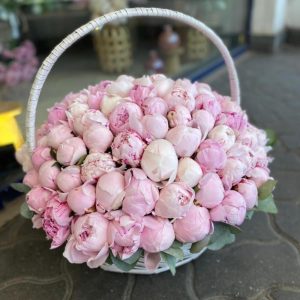 Монобукет из розовых пионов 75 шт в корзине — Пионы