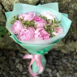 7 нежных розовых пионов «Тиффани» — Доставка пионов