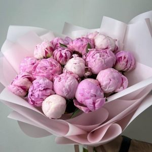 17 розовых закрытых пионов Сара Бернар — Доставка пионов