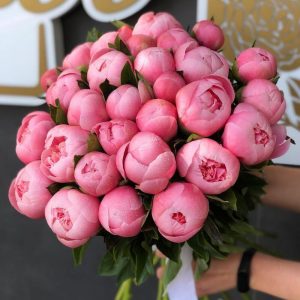 29 розовых пионов Сальмон в букете