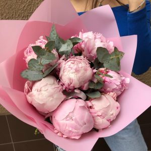 Букет из 7 розовых пионов «Сара» — Доставка пионов