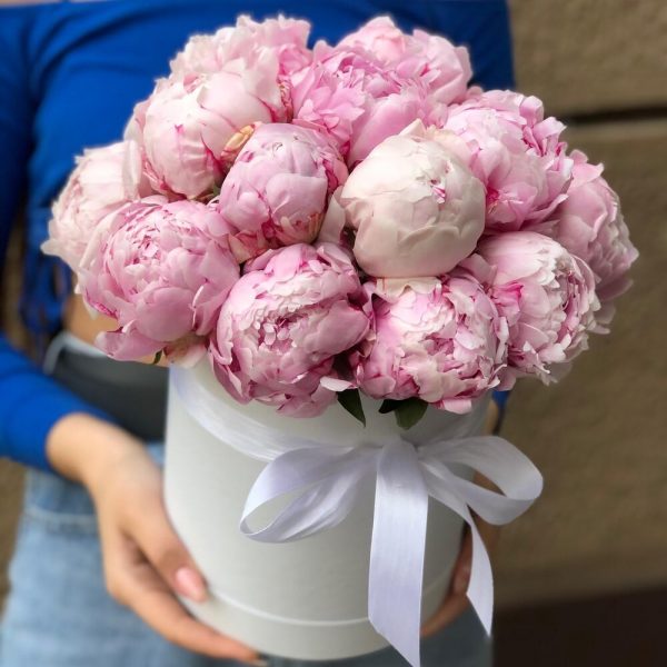 15 розовых пионов Сара Бернар в шляпной коробке