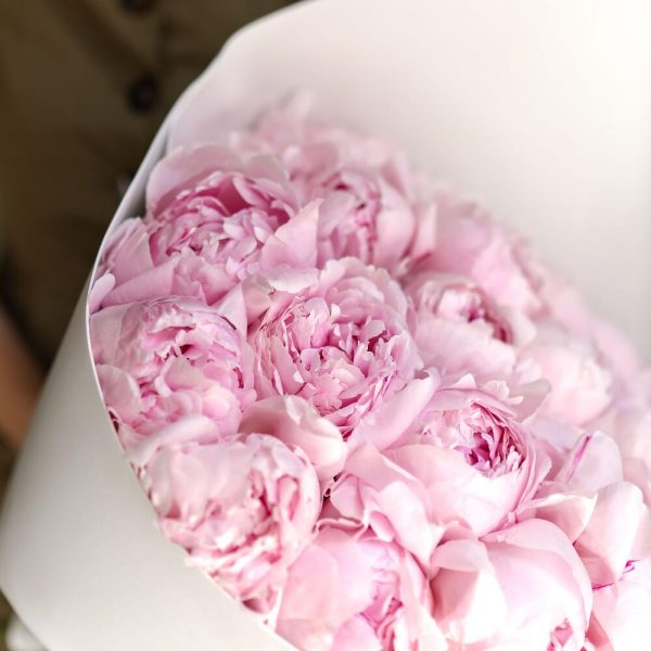Букет из 29 нежно-розовых пионов