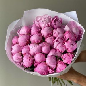 29 розовых пионов Сара Бернар в букете